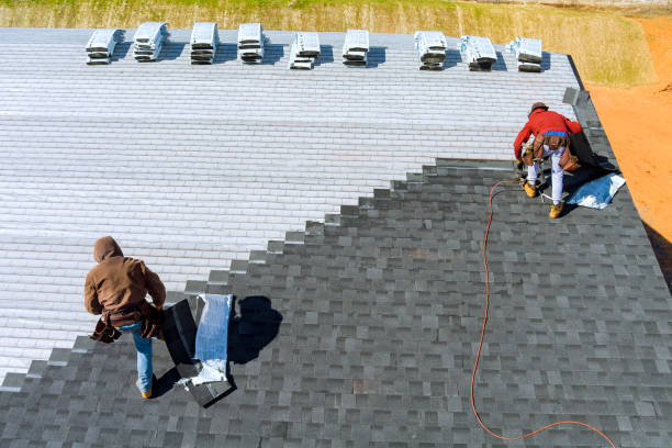 Best Roof Ventilation Installation  in USA